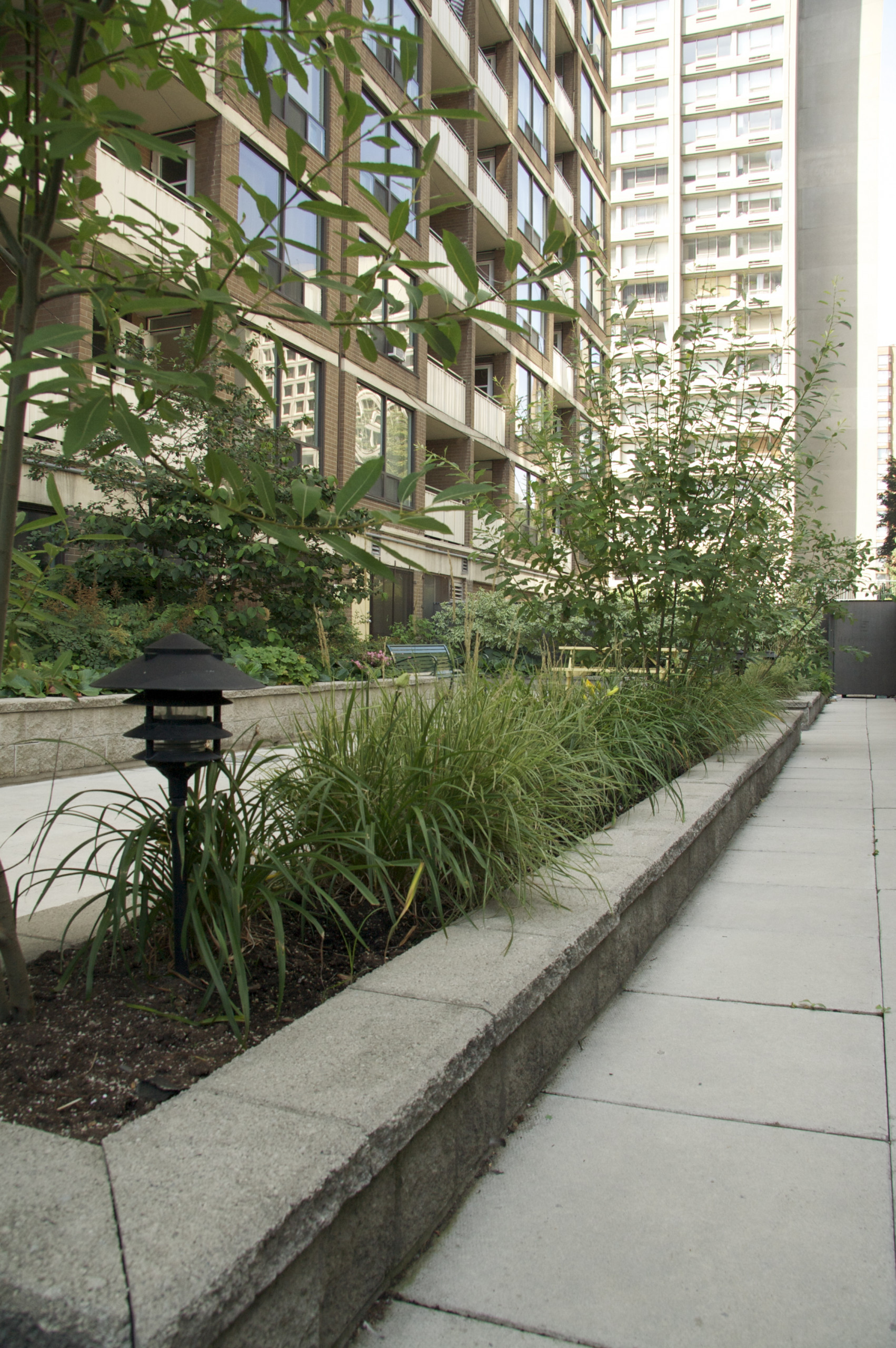 rooftop garden